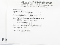 登錄號:F0010989藏品圖，第2張