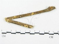 登錄號:F0010989藏品圖，第1張