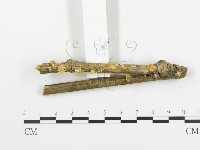 登錄號:F0010989藏品圖，第3張