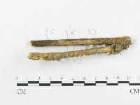 登錄號:F0010989藏品圖，第4張