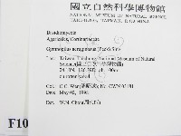 登錄號:F0010991藏品圖，第2張