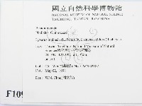 登錄號:F0010992藏品圖，第2張