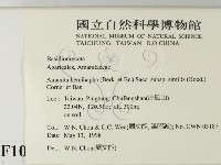 登錄號:F0010997藏品圖，第2張