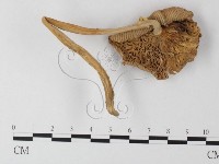 登錄號:F0010997藏品圖，第3張