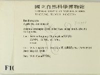 登錄號:F0010998藏品圖，第2張