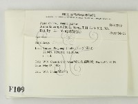 登錄號:F0010999藏品圖，第2張