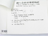 登錄號:F0010999藏品圖，第3張