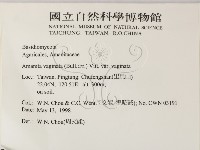 登錄號:F0011000藏品圖，第2張