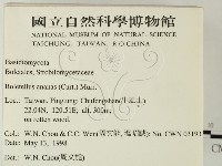 登錄號:F0011002藏品圖，第2張