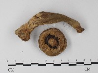 登錄號:F0011002藏品圖，第3張