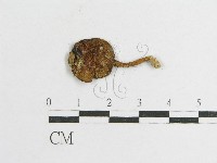 登錄號:F0011004藏品圖，第3張
