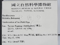 登錄號:F0011005藏品圖，第2張