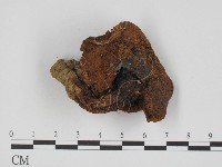 登錄號:F0011005藏品圖，第1張