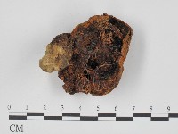 登錄號:F0011005藏品圖，第3張