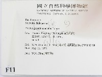 登錄號:F0011007藏品圖，第2張