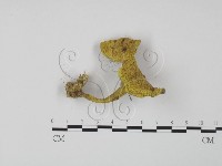 登錄號:F0011008藏品圖，第1張
