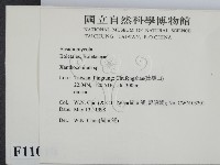 登錄號:F0011010藏品圖，第2張