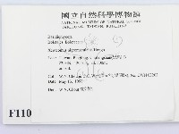 登錄號:F0011013藏品圖，第2張