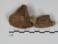 登錄號:F0011014藏品圖，第1張
