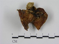登錄號:F0011014藏品圖，第3張