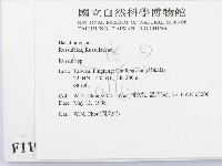 紅菇屬藏品圖，第2張