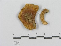 登錄號:F0011019藏品圖，第1張