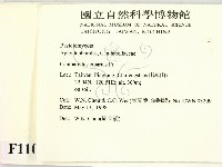 登錄號:F0011020藏品圖，第2張