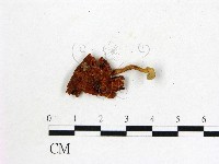 登錄號:F0011020藏品圖，第1張
