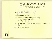 登錄號:F0011022藏品圖，第2張