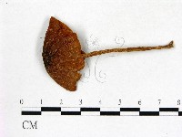 登錄號:F0011022藏品圖，第1張