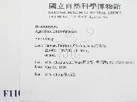 粉褶菌屬藏品圖，第2張