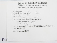 粉褶菌屬藏品圖，第2張