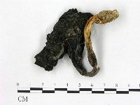 登錄號:F0011025藏品圖，第1張