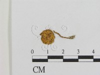 登錄號:F0011026藏品圖，第1張