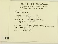 登錄號:F0011027藏品圖，第2張