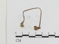 登錄號:F0011027藏品圖，第1張