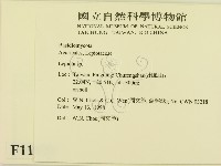 登錄號:F0011029藏品圖，第2張