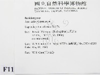 登錄號:F0011030藏品圖，第2張
