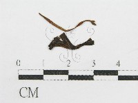 登錄號:F0011030藏品圖，第1張