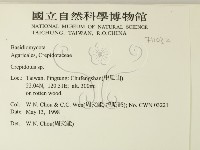 登錄號:F0011032藏品圖，第2張