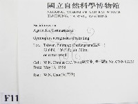 登錄號:F0011033藏品圖，第2張