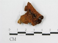 登錄號:F0011033藏品圖，第1張