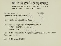 登錄號:F0011034藏品圖，第3張