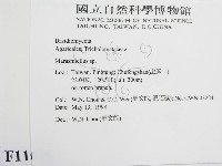 微皮傘屬藏品圖，第2張