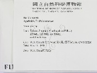 小皮傘屬藏品圖，第2張