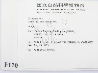登錄號:F0011038藏品圖，第2張