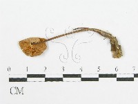 登錄號:F0011038藏品圖，第1張
