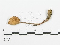 登錄號:F0011038藏品圖，第3張