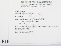 登錄號:F0011039藏品圖，第2張