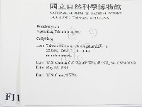 登錄號:F0011040藏品圖，第2張